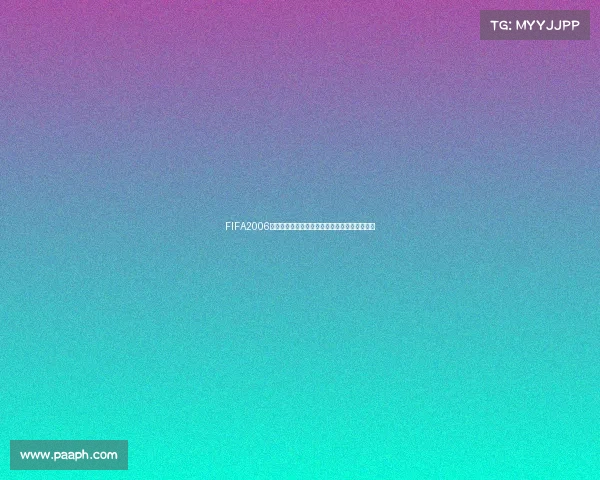 FIFA2006世界杯汉化补丁经典足球游戏体验重现激情岁月 FIFA2006世界杯汉化补丁经典足球游戏体验重现激情岁月